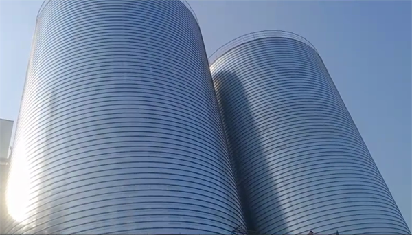 海原2座混凝土高架卷板仓